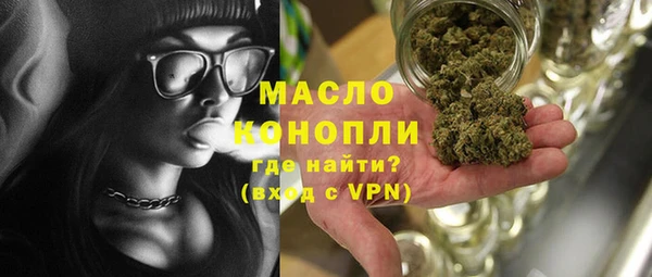 индика Арсеньев