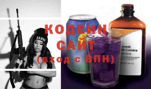 индика Арсеньев