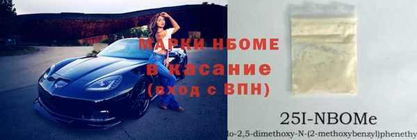индика Арсеньев
