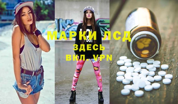 индика Арсеньев
