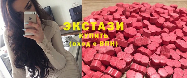 индика Арсеньев