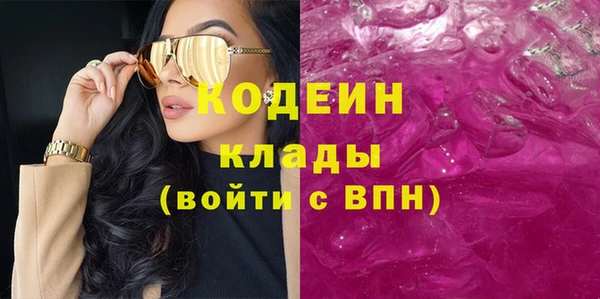 индика Арсеньев