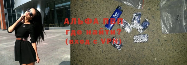 индика Арсеньев