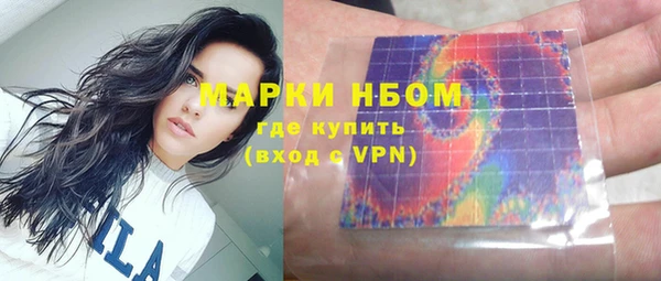 индика Арсеньев