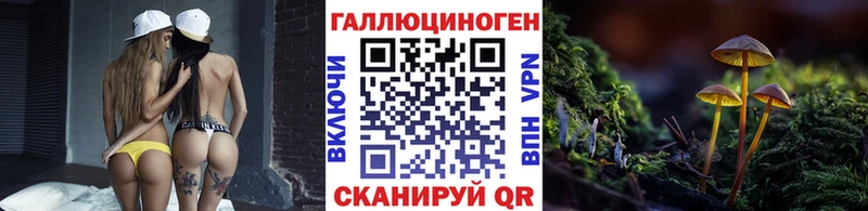 Псилоцибиновые грибы Psilocybine cubensis  сколько стоит  Солигалич 